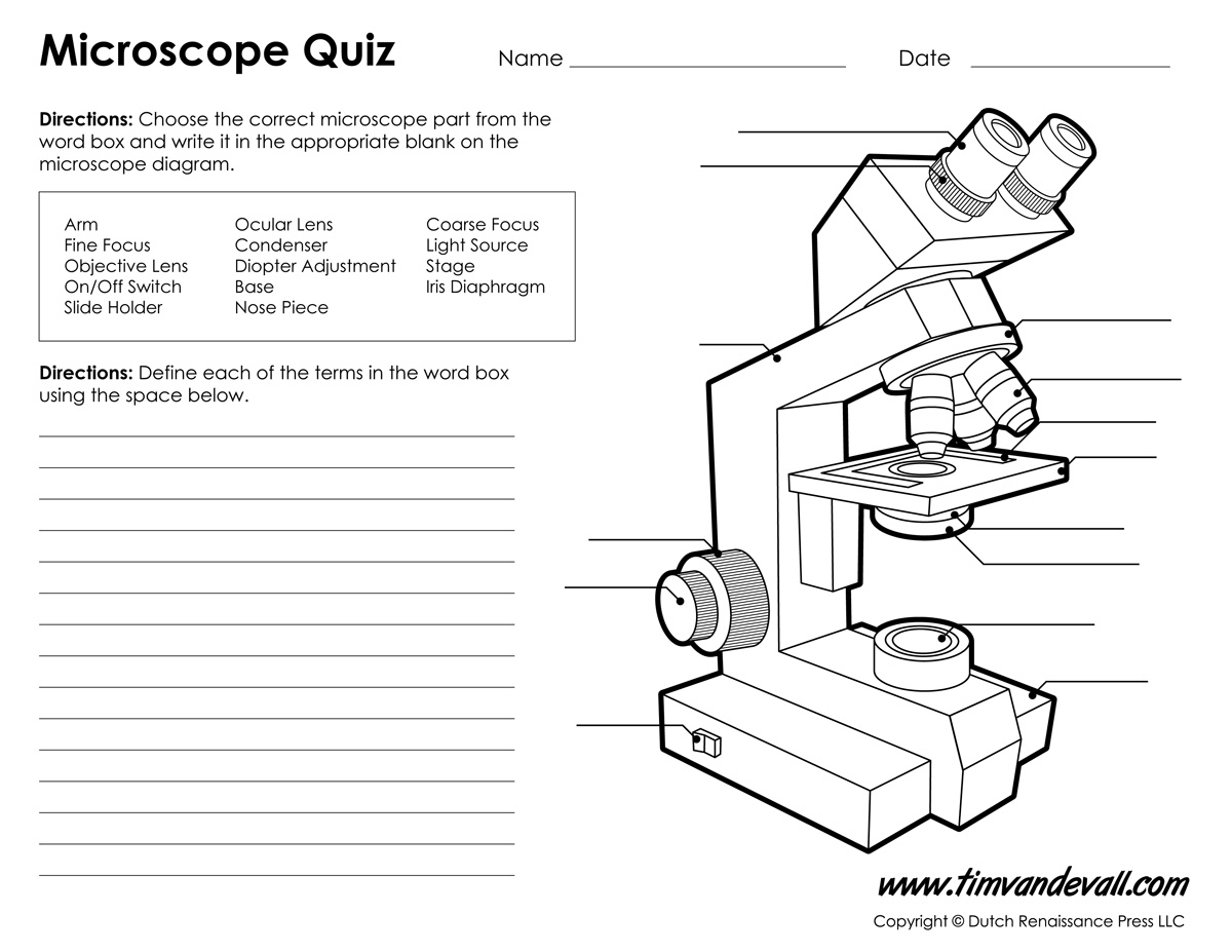 Monday September 25 - Parts of a Compound Light Microscope