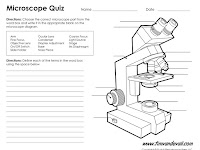 Compound Microscope Diagram Compound Microscope Diagram