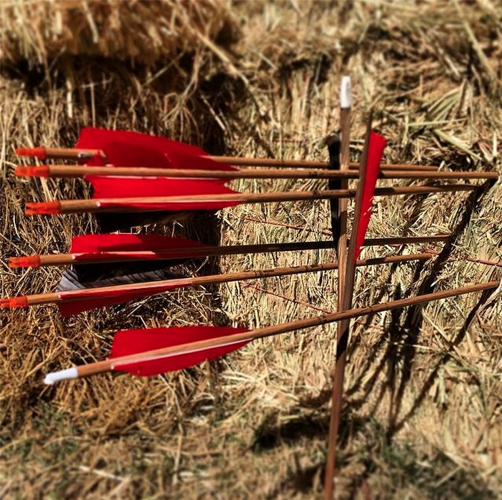 Archery Instinct Shooting Arrows. Shooting Images.