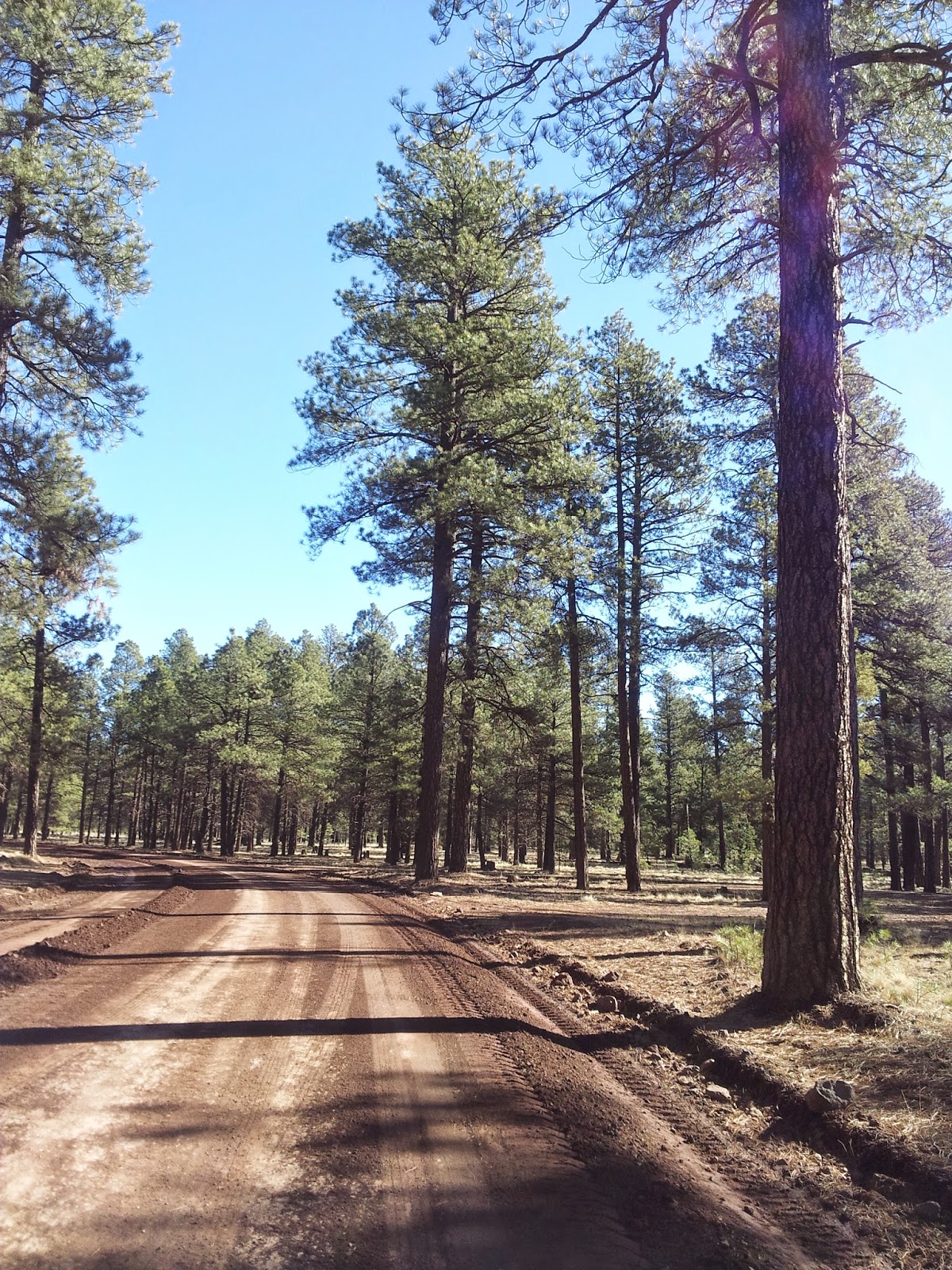 VAGABOND ZEN Arizona {50 States of Yoga}