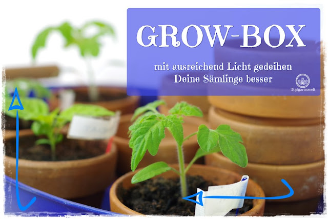 Gartenblog Topfgartenwelt Aussaat Anzucht Grow-Box: bessere Lichtverhältnisse für Keimlinge, Sämlinge und Jungpflanzen