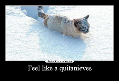 Gato quitanieves 