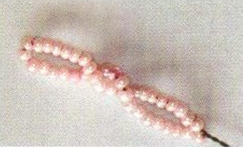 Удивительный мир бисероплетения: Петельная техника плетения бисером