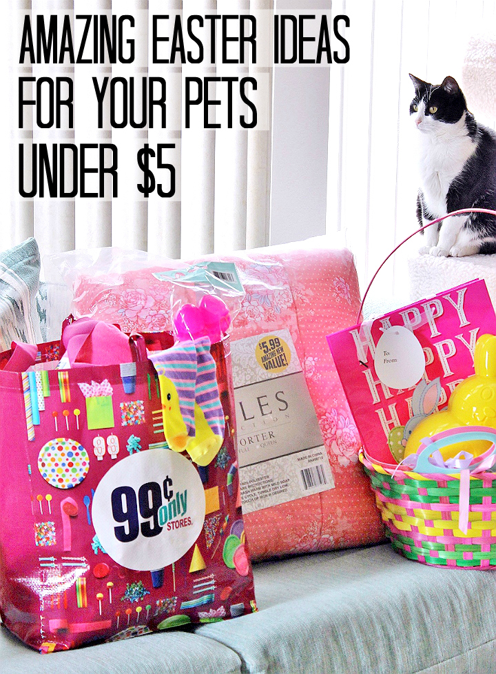 Momma Told Me: Affordable Ways To Celebrate Easter With Pets: $5