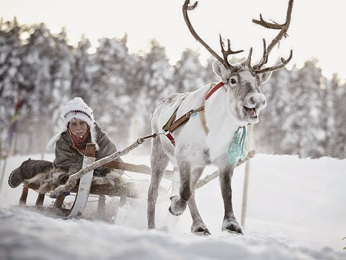 Sami%2BWinter%2BMarket%2Band%2BLiving%2B