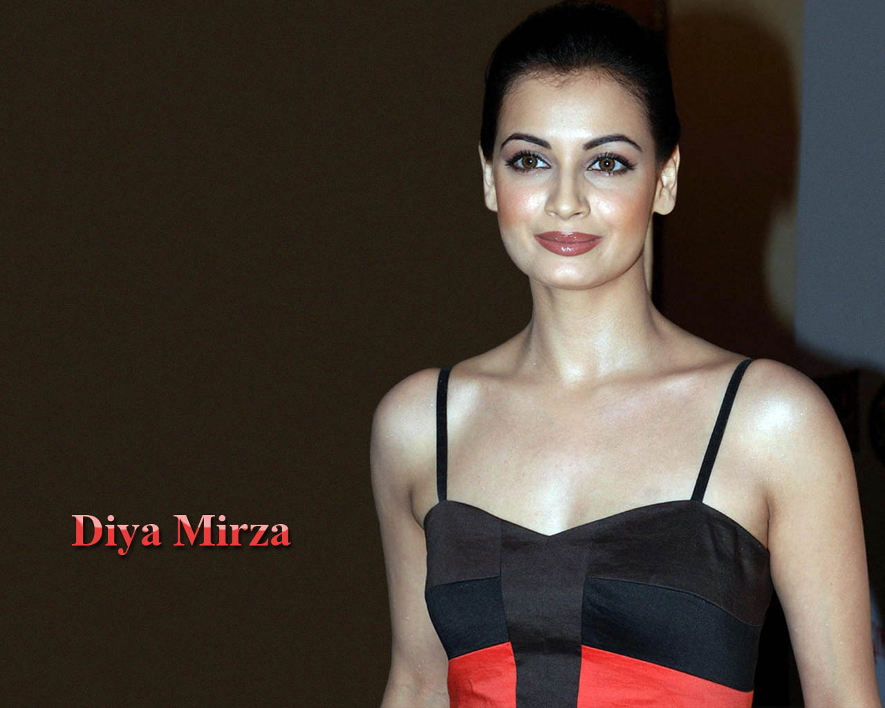 Indian Actresses Hub Diya Mirza Hot Pics Hub