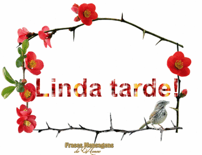 img-frases-boa-tarde-2.gif