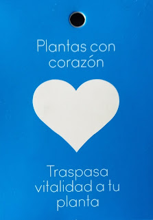 nutricion plantas nutricion plantas