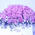 Lavender Roses Images Meaning Pics Wallpapers Photos Pictures Bouquet HD FREE Download
