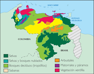 Vegetaciones de Venezuela