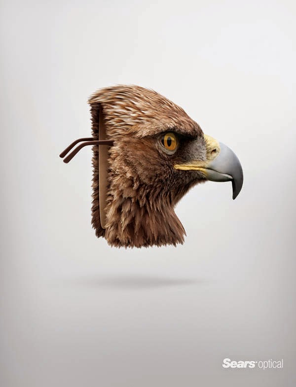 Sears Optical: Eagle