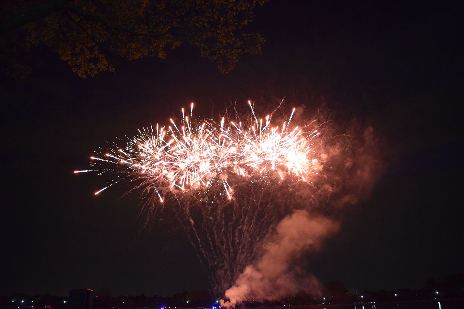 Jason's View from DC Cherry Blosson Festival Fireworks