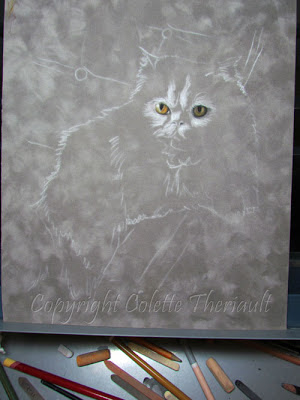 Pet Portrait Commissions by Colette Theriault Canadian Animal Artist