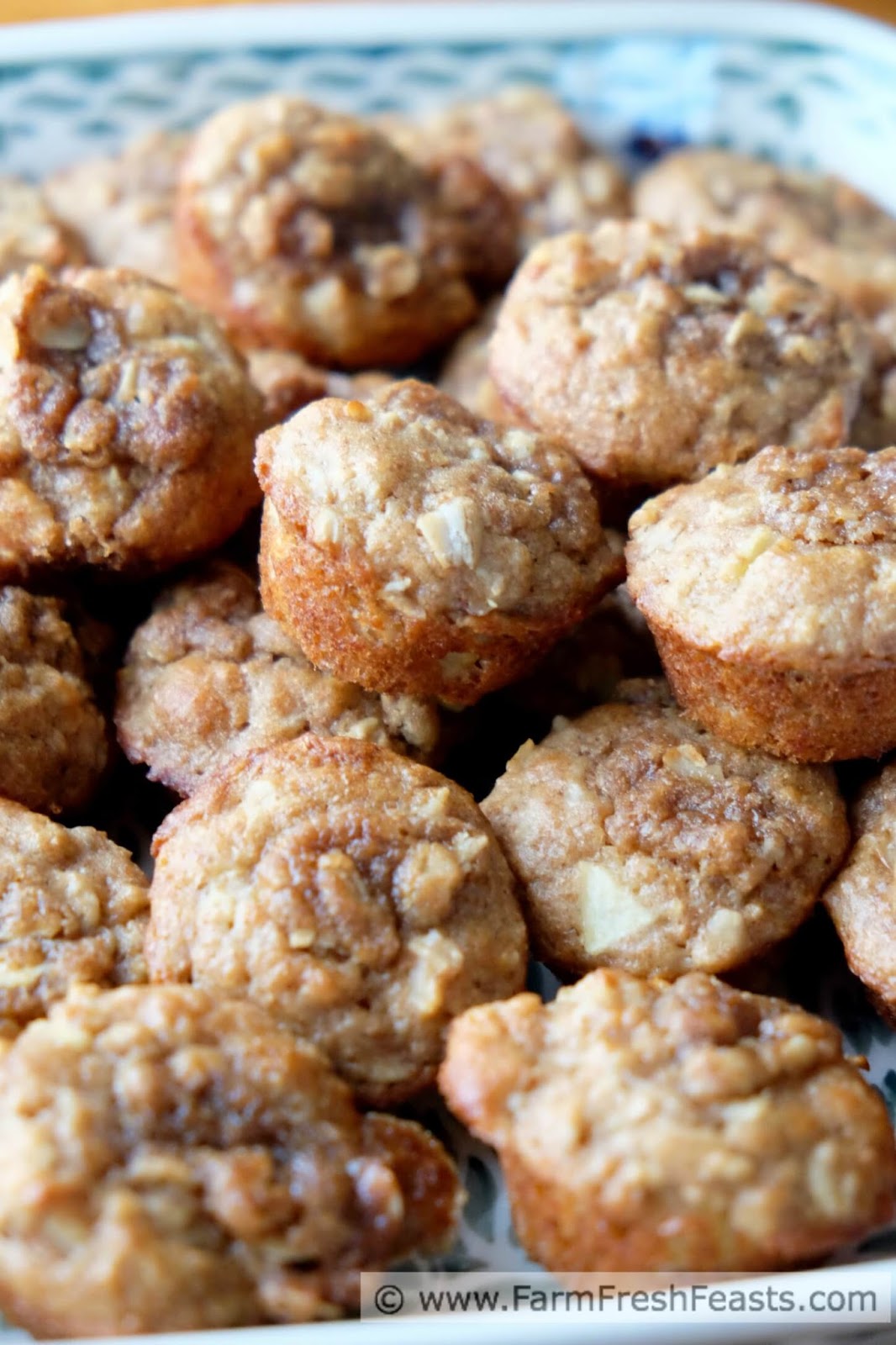 Farm Fresh Feasts Apple Oatmeal Muffins, A Whole Grain Muffin 