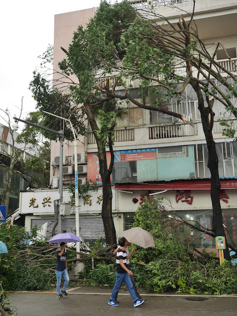 damage from Typhoon Hato at the Lianhua Road Pedestrian Street in Zhuhai, China