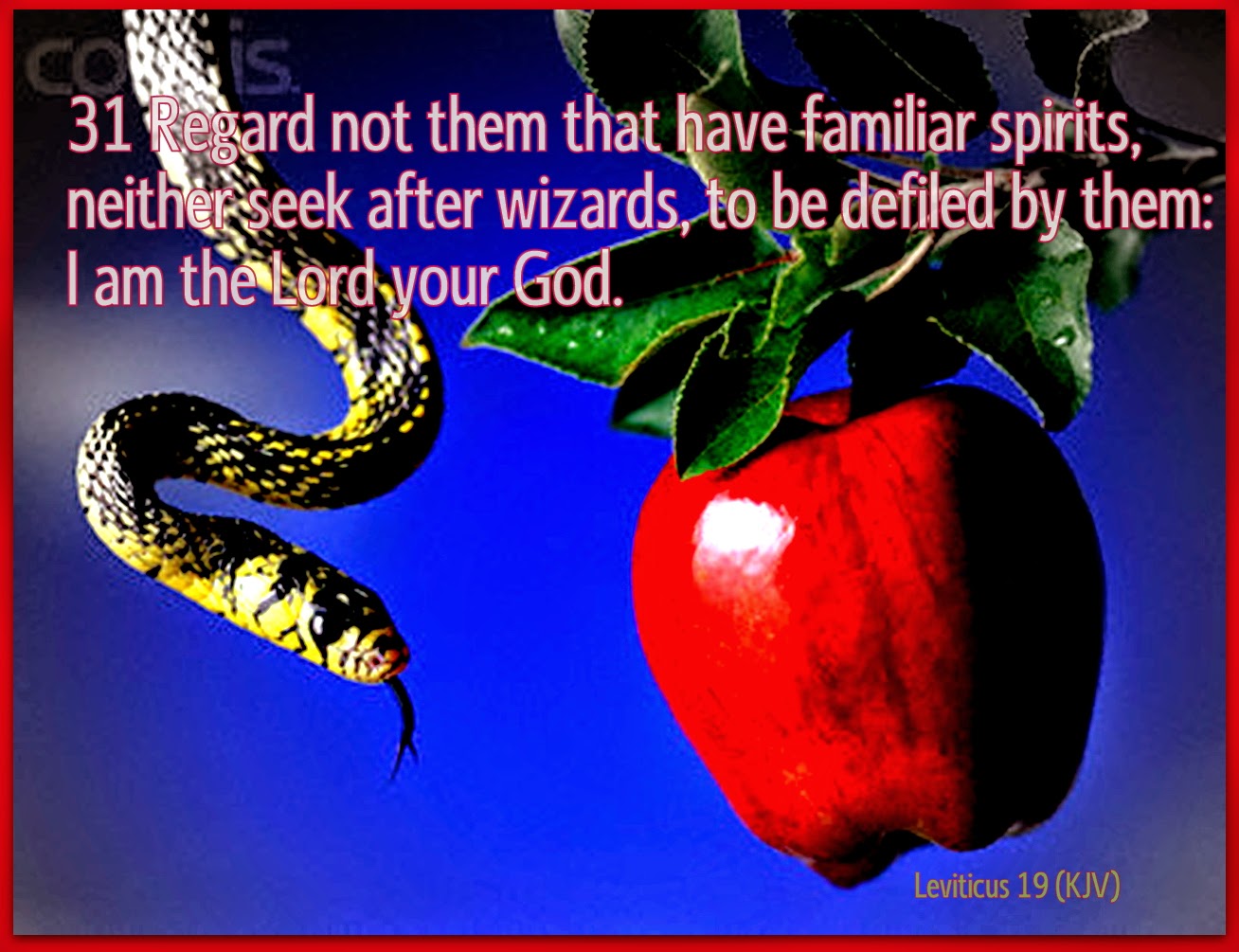 Red Pill Diaries Leviticus 19 (KJV)