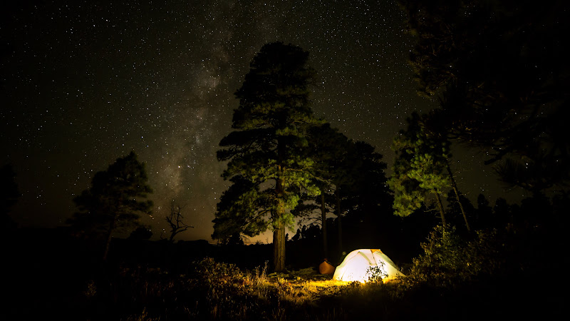 Camping with Tent under the Night Sky