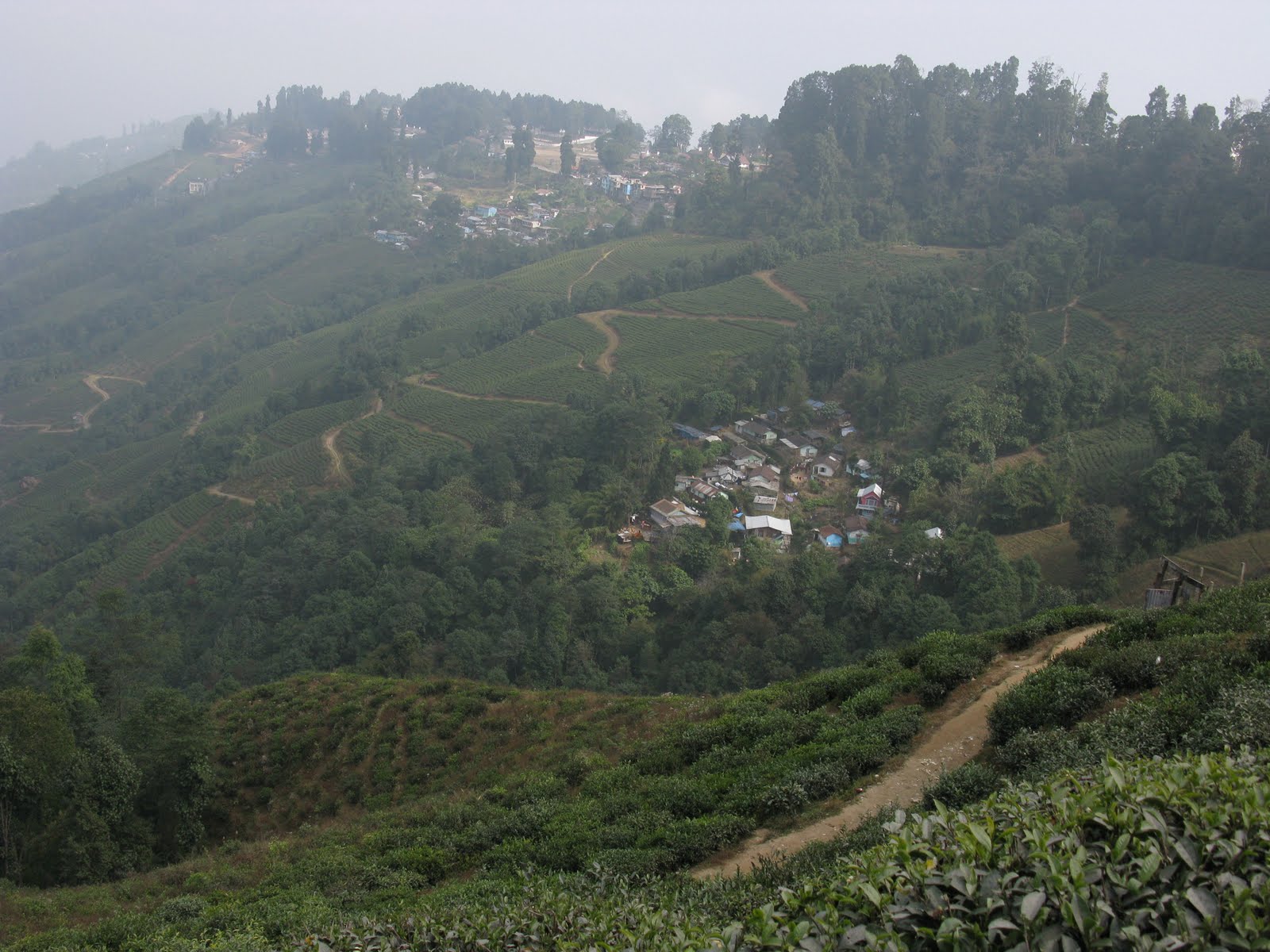 Darjeeling Information | Place to Visit in Darjeeling | Darjeeling Tourism