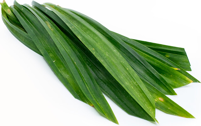 Natural Home Remedies For Flies Natural Home Remedies For Flies