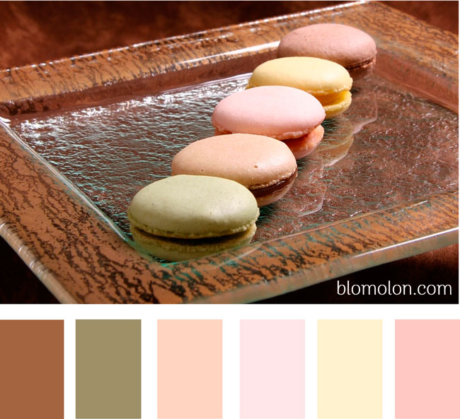 paleta-de-colores-imagen-10 paleta-de-colores-imagen-10