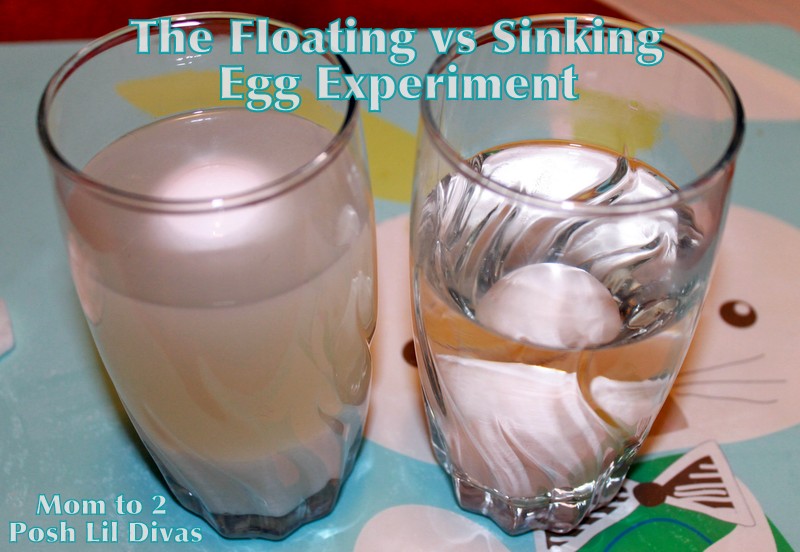 Mom to 2 Posh Lil Divas: The Floating vs. Sinking Egg Experiment