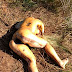 Imagens Fortes: Corpo de mulher é encontrado decapitado em ramal no Rio Preto da Eva