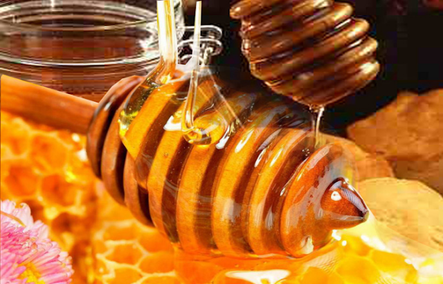 Filosofi Lebah Madu, Tak Ada Jiwa Perusak dan Mempunyai Tanggung Jawab Tinggi Filosofi Lebah Madu, Tak Ada Jiwa Perusak dan Mempunyai Tanggung Jawab Tinggi