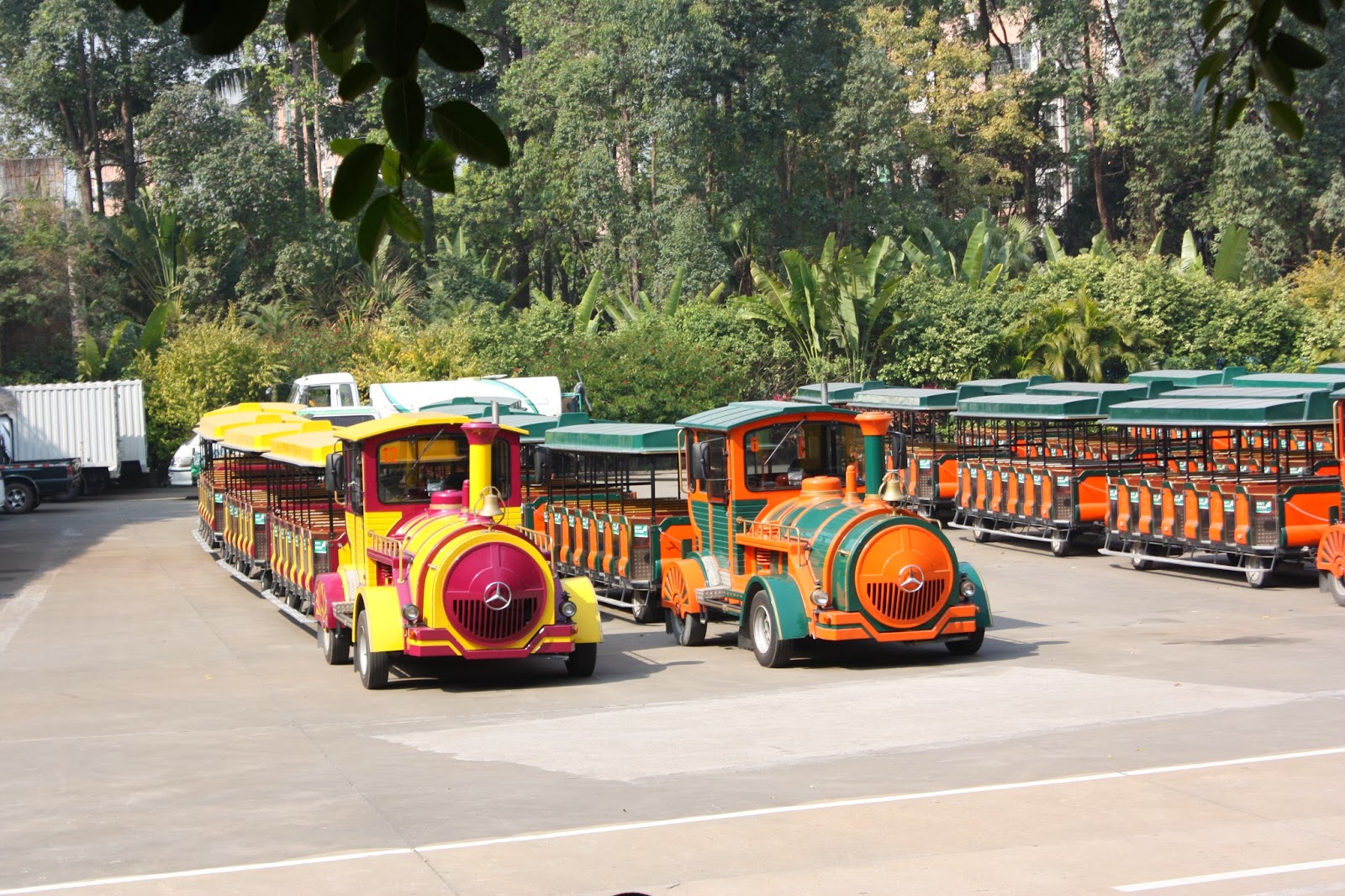 The Satcher Family: China Day 10 – Chimelong Safari Park