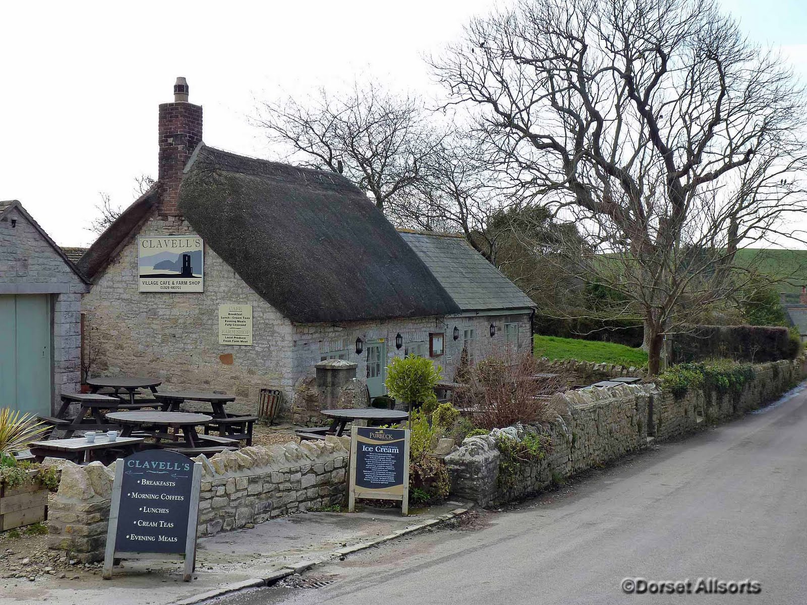Dorset Allsorts Kimmeridge