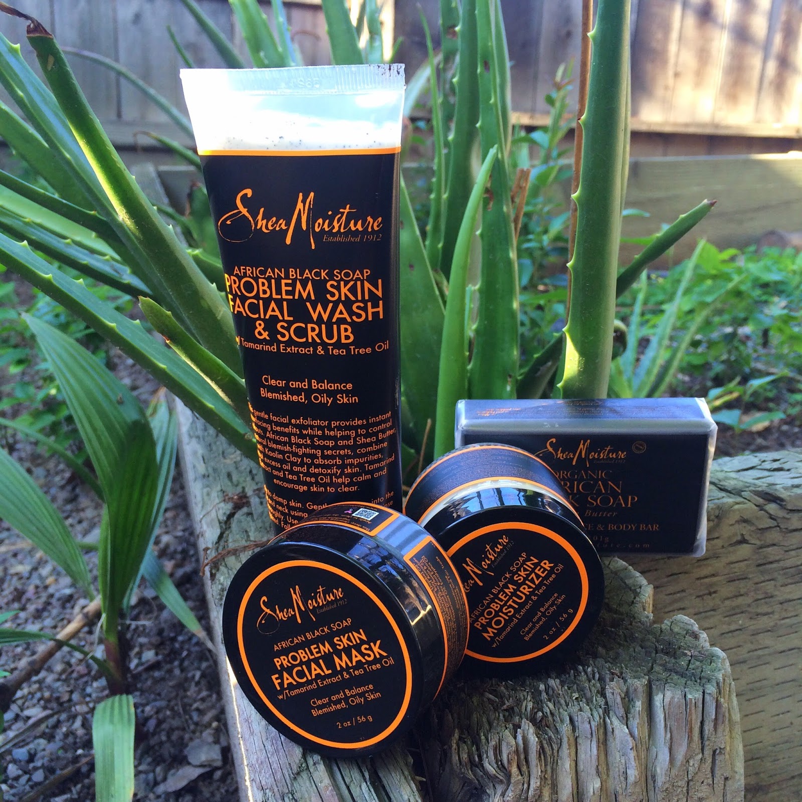 Hanidee Spotlight Shea Moisture Problem Skin Kit