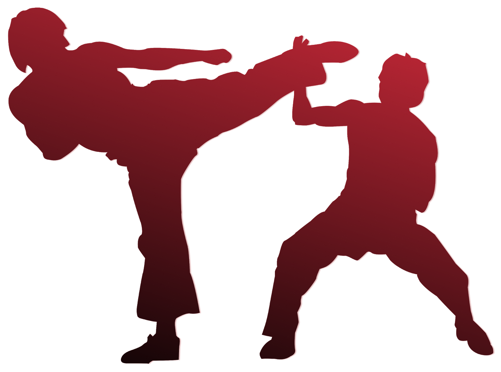 Villari Shaolin Kempo Karate: What is Kempo?