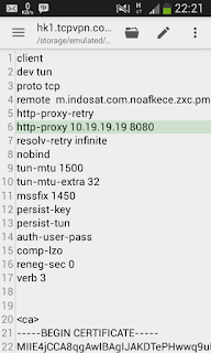 Payload open vpn Cara membuat payload open vpn