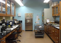 The Plant Clinic Lab