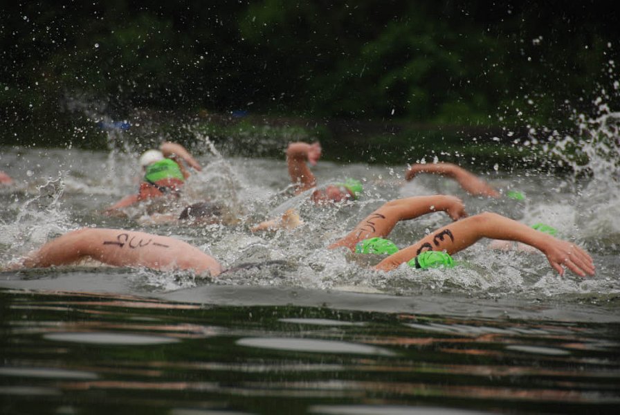 willowgate open water swimming