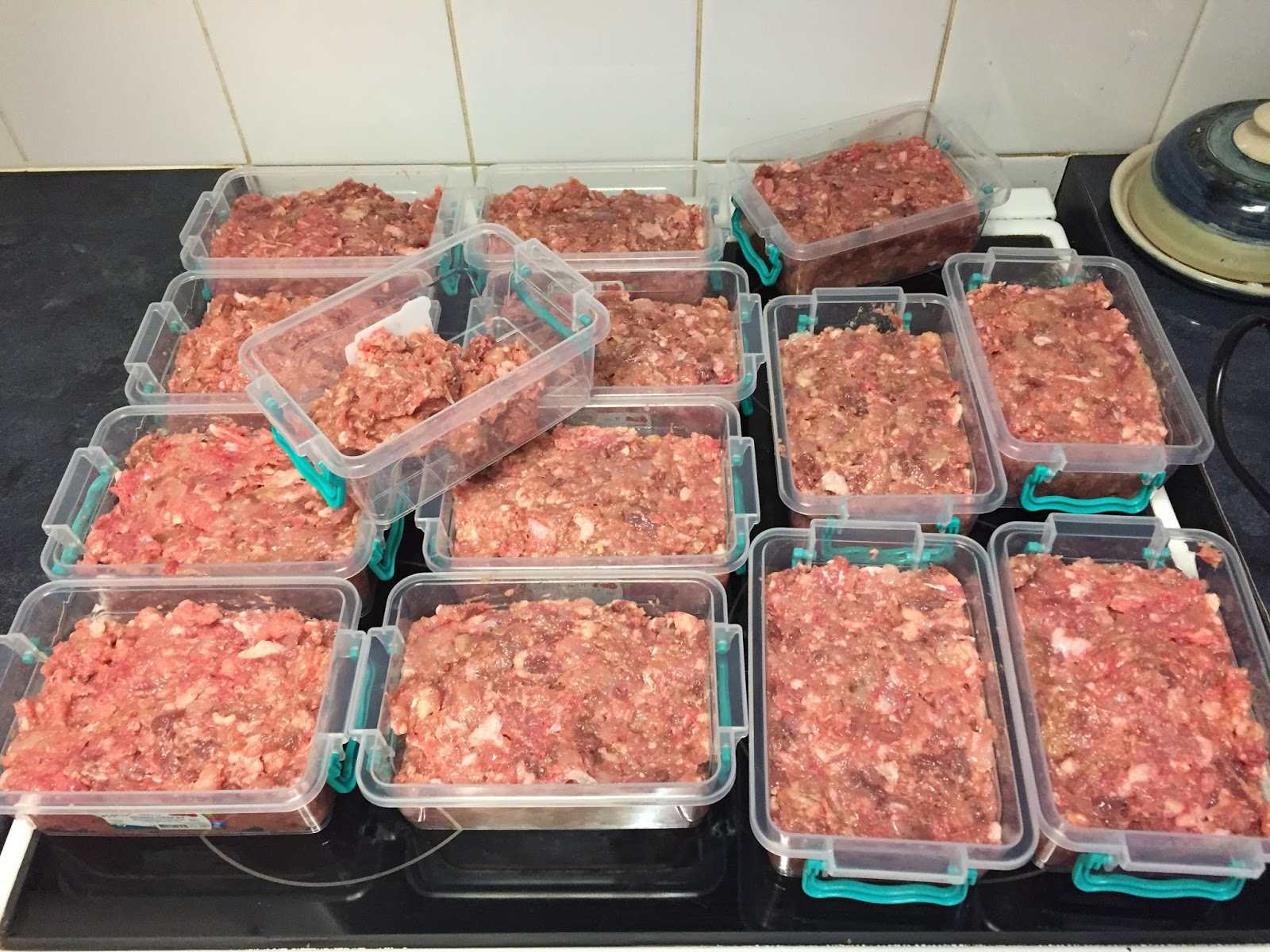 Naked Sphynx Cat Hampshire DIY Raw Food