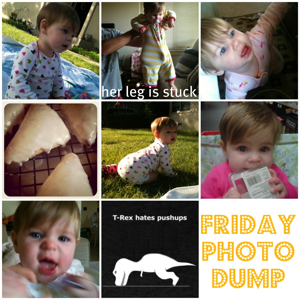 Friday Photo Dump {13}