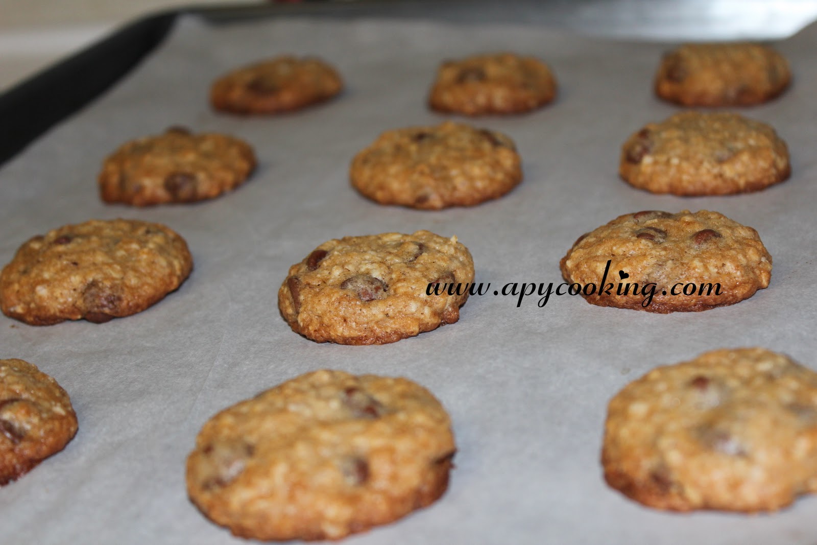 Apy Cooking Milk Chocolate Oatmeal Cookies