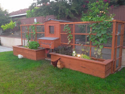 landscape coop chicken coops garden crazy backyard custom ib chickens diego san well attention center symmetrical wood necessary implements provided