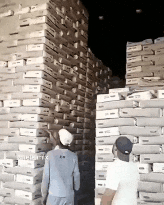 1554957436.gif
