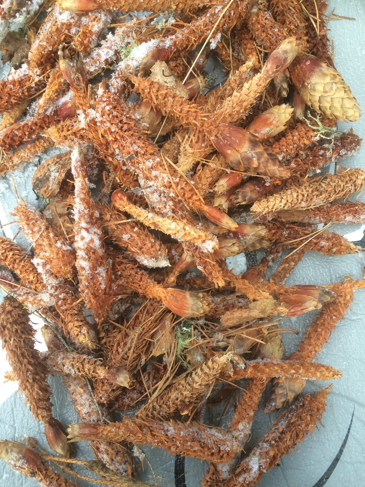 gromungen-grinder-kongler