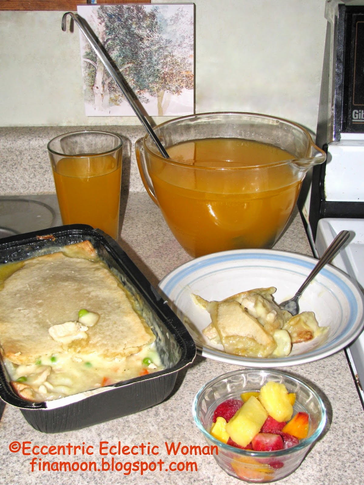 Eccentric Eclectic Woman Schwan's Home Delivery Service Review