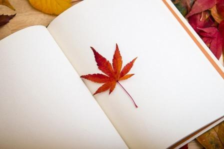 Contoh Buku Harian Atau Diary Lengkap