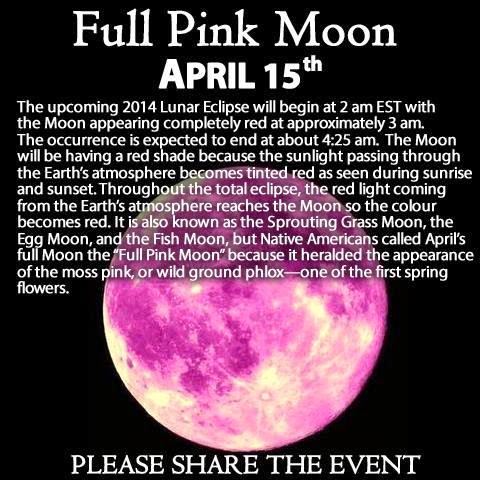 Full Pink Moon Timezone Full Pink Moon