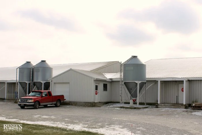 Shoup Brothers Farm