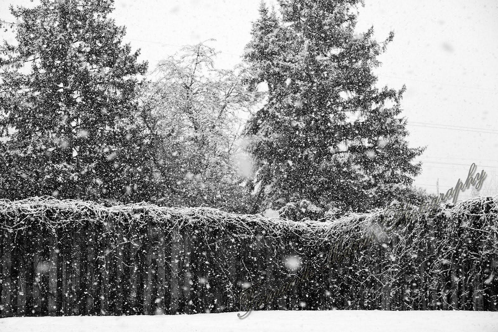 Fernando Matias Photography Ottawa Ontario Ottawa Wedding