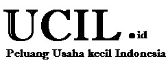 Contoh Usaha Kecil Kecilan Dirumah