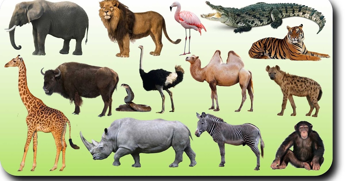 We Learn We Play We Grow