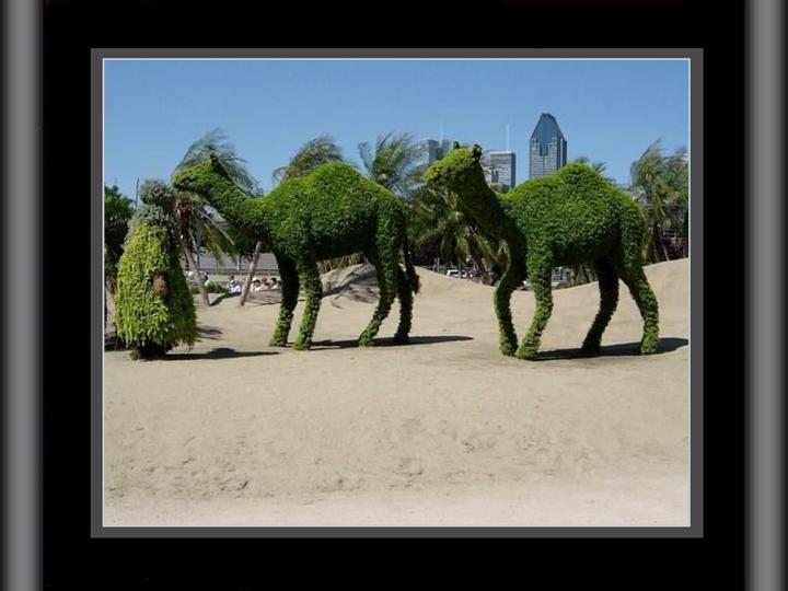 KnowCrazy.com: Montreal Botanical Garden