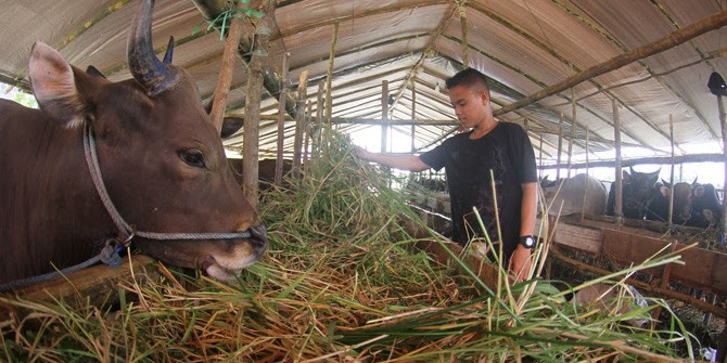 Bingung Cari Hewan Qurban Yang Baik? Inilah Cara Memilih Hewan Qurban Menurut Kaidah