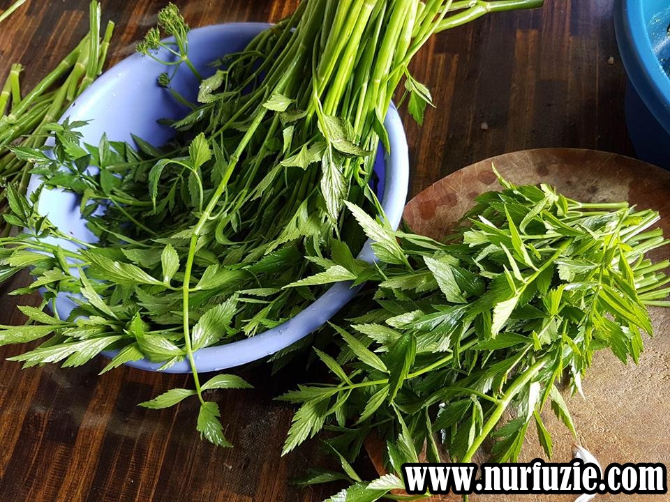 Cara Mudah Buat Kerabu Daun Selom Dan Kerisik Nurfuziecom